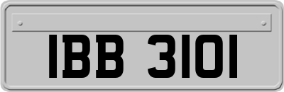 IBB3101