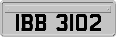 IBB3102