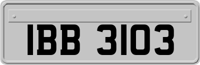 IBB3103