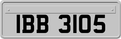 IBB3105