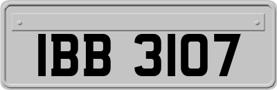 IBB3107