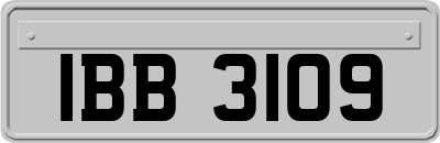 IBB3109