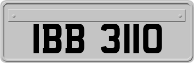 IBB3110