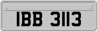 IBB3113