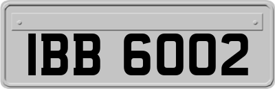 IBB6002