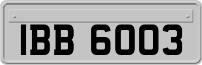 IBB6003