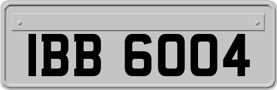 IBB6004