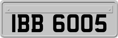 IBB6005