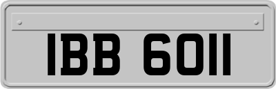 IBB6011