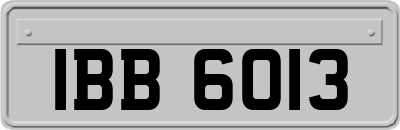 IBB6013