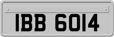 IBB6014