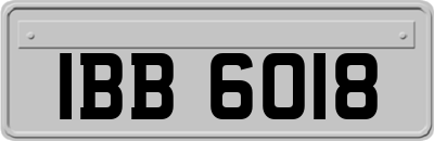 IBB6018