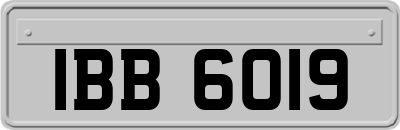 IBB6019