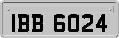 IBB6024