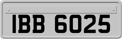 IBB6025