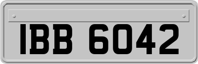 IBB6042