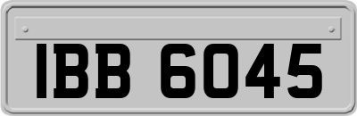 IBB6045