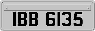 IBB6135