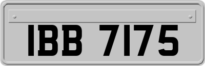 IBB7175