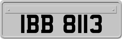 IBB8113