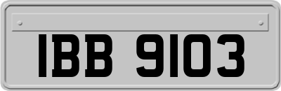 IBB9103