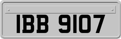 IBB9107