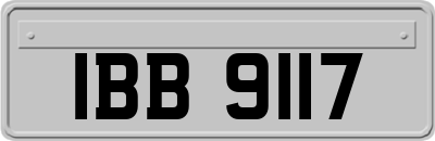 IBB9117