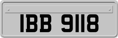 IBB9118