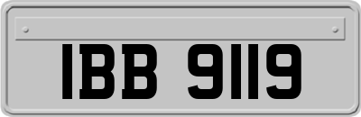 IBB9119