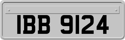 IBB9124