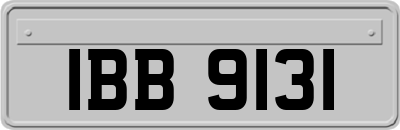 IBB9131