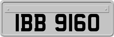 IBB9160