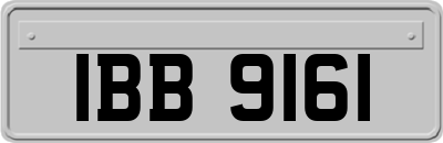 IBB9161