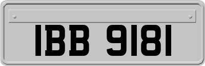 IBB9181