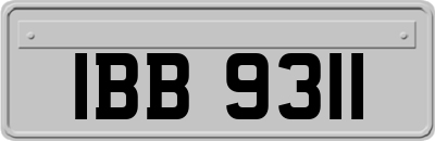 IBB9311