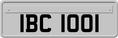 IBC1001