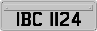 IBC1124