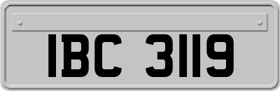 IBC3119