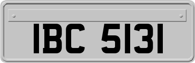 IBC5131