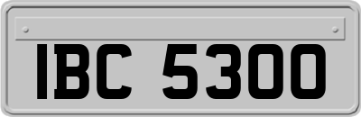 IBC5300