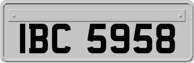 IBC5958