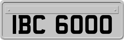 IBC6000