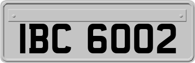 IBC6002