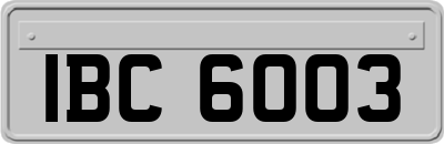 IBC6003