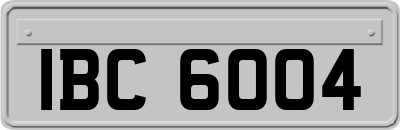 IBC6004