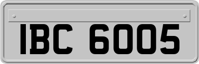 IBC6005