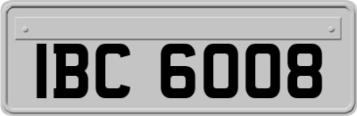 IBC6008