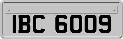 IBC6009