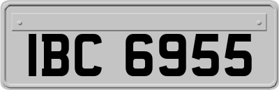 IBC6955