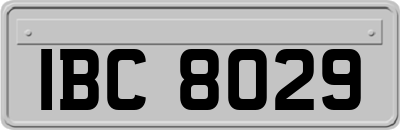 IBC8029